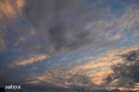 e0122194_21393443.jpg