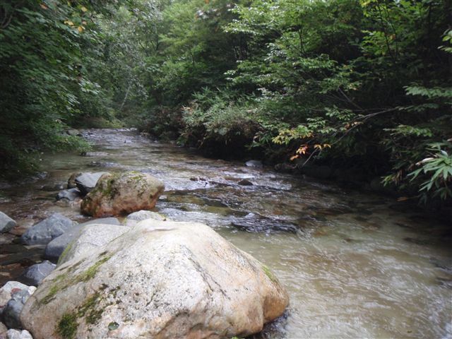 c0177497_2215293.jpg