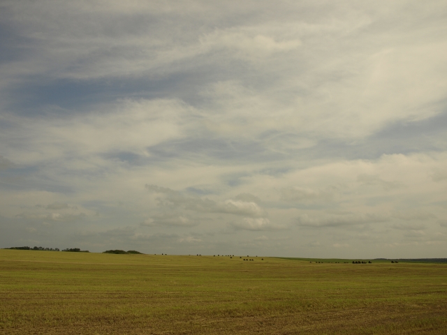 f0020302_22524024.jpg