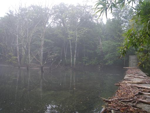 e0123808_20542051.jpg