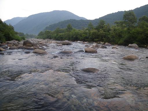 e0123808_21305451.jpg
