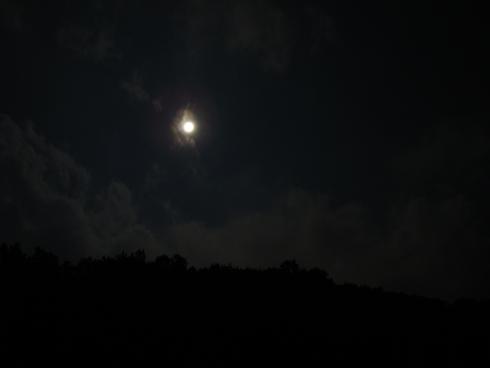e0123808_2149246.jpg