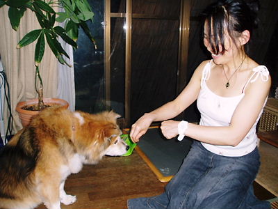 c0029913_2233166.jpg
