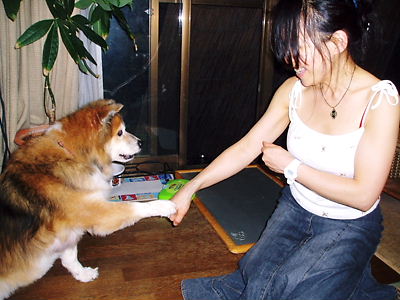 c0029913_22362878.jpg