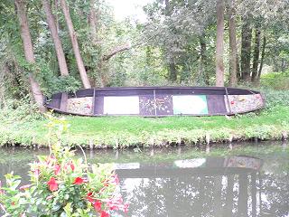 f0157115_522256.jpg