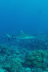 b0155916_0295790.jpg