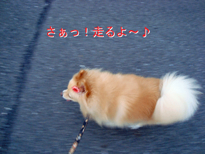 b0075318_20525799.gif