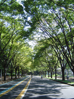 c0135618_23444687.jpg