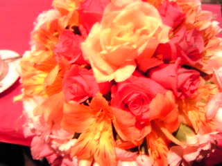 a0052621_1862317.jpg