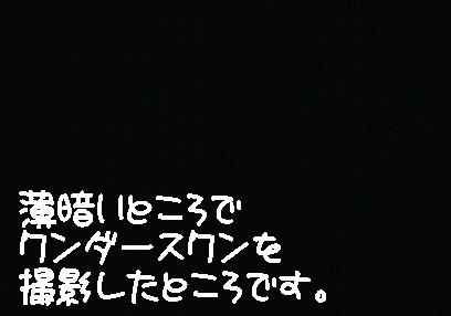 b0030122_2222024.jpg