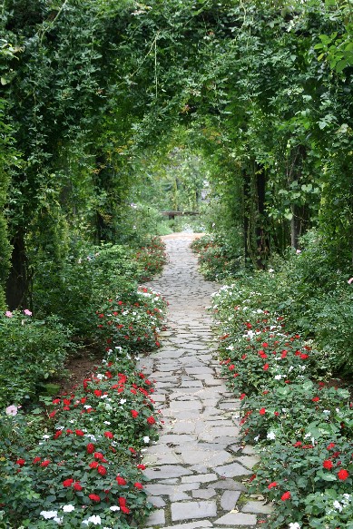 e0128322_1368.jpg
