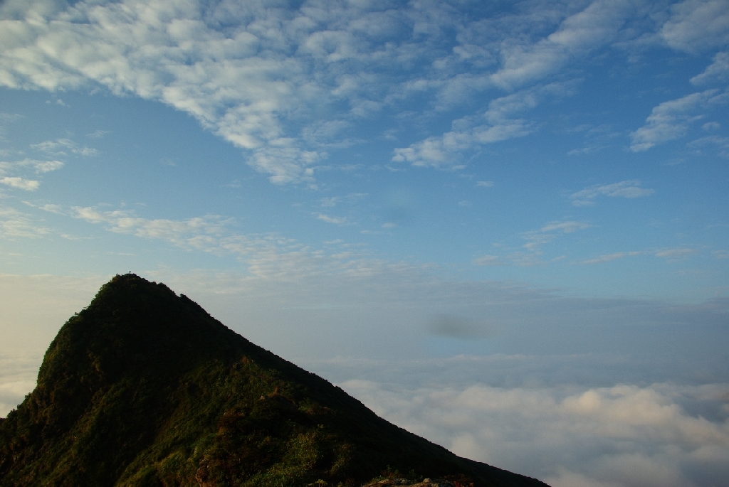 b0062024_739388.jpg