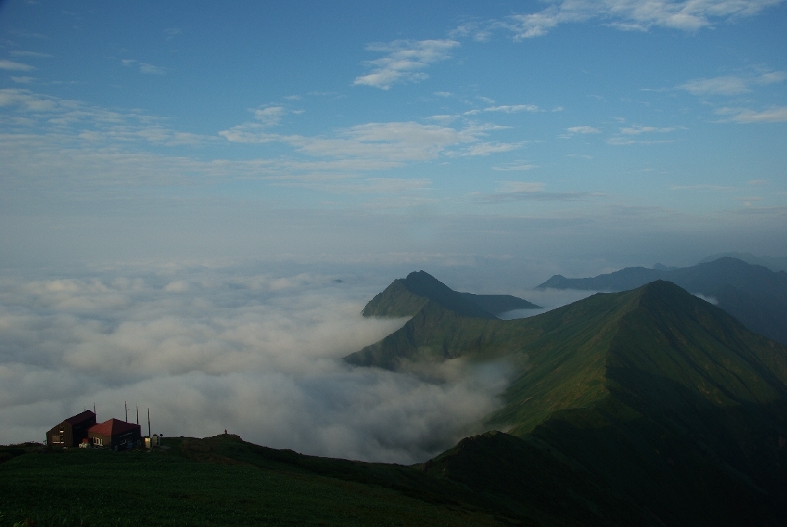 b0062024_744392.jpg
