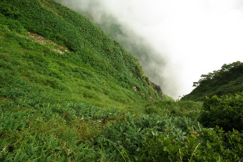 b0062024_7524135.jpg