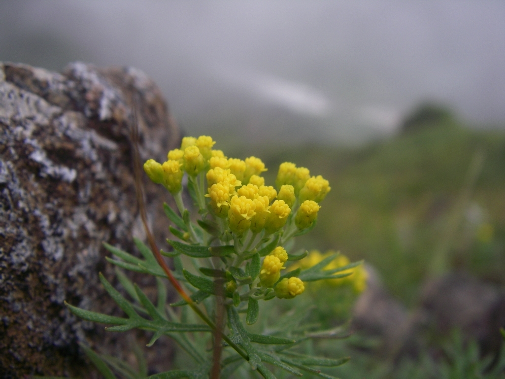b0062024_7561367.jpg