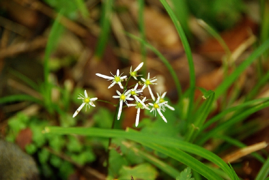 b0062024_7585871.jpg