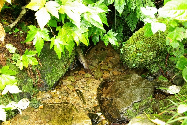 b0062024_804226.jpg