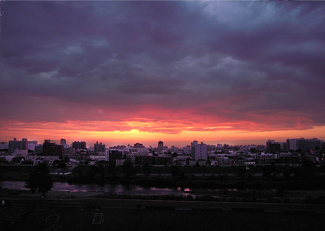 b0085526_920157.jpg