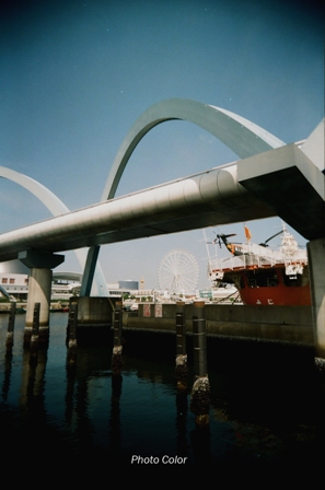 f0078127_741091.jpg