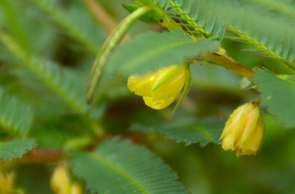 d0053930_7501889.jpg