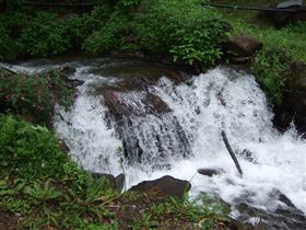 f0028132_13373746.jpg