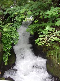 f0028132_1338066.jpg