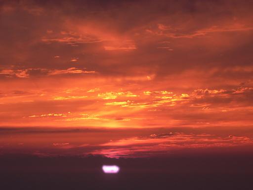 f0118332_1371269.jpg