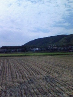 c0090534_15162566.jpg