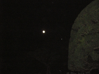 b0157246_2202597.jpg