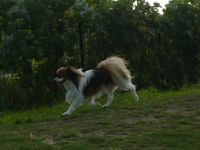 e0100046_22304797.jpg