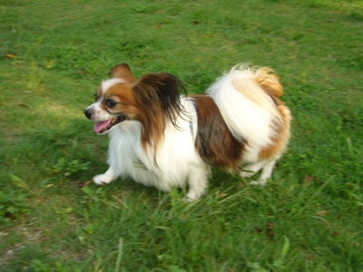 e0100046_22312481.jpg