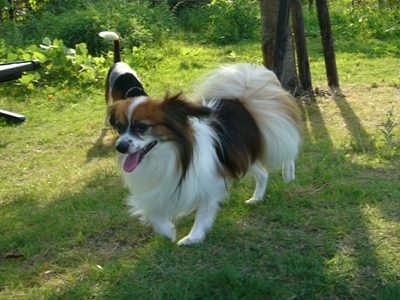 e0100046_2231394.jpg
