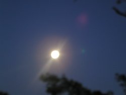 b0132950_14594333.jpg