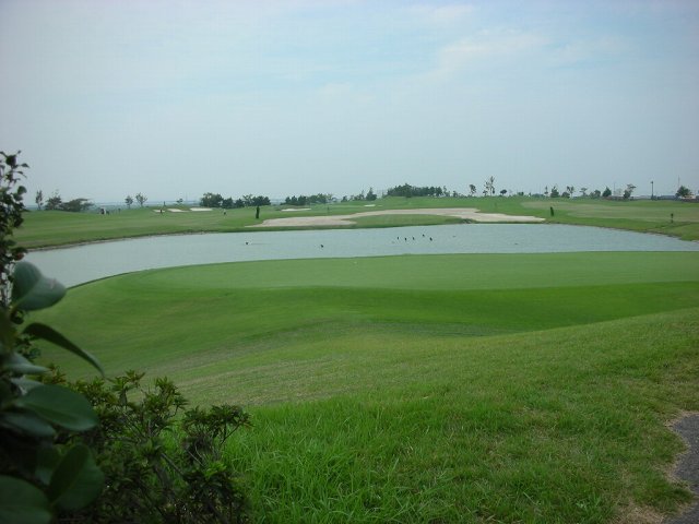d0138650_2010082.jpg