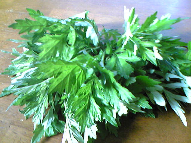 f0184055_95098.jpg