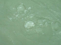 c0097856_23475733.jpg
