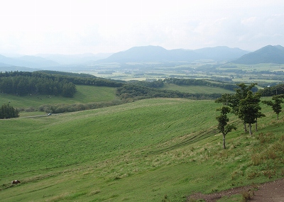 e0004756_21365027.jpg