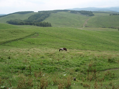 e0004756_21414165.jpg