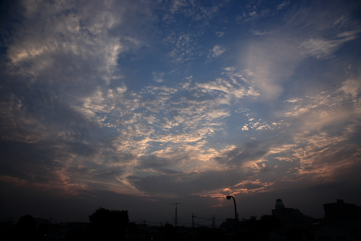 b0027267_23422867.jpg