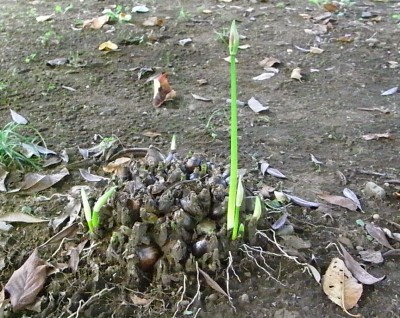 c0112172_12522063.jpg