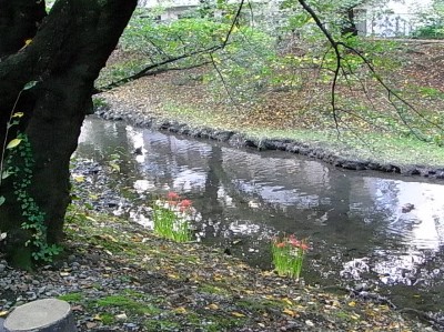 c0112172_12533248.jpg