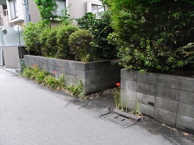 c0112172_1253787.jpg
