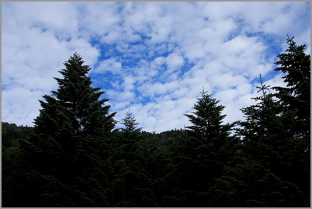 c0030874_21115849.jpg