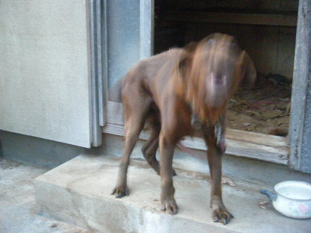 c0163878_8494860.jpg