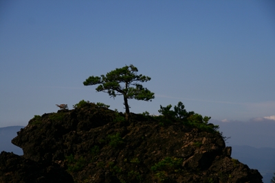 a0082787_2375585.jpg