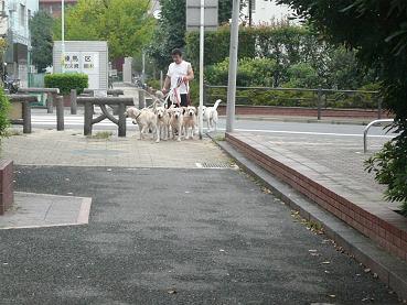 c0123890_20333948.jpg