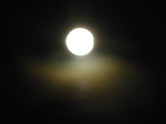 e0121993_17391794.jpg