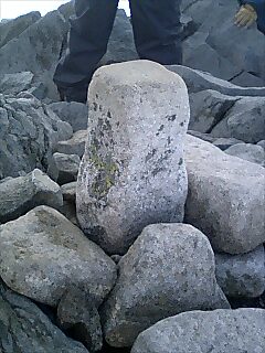 b0039898_1028374.jpg