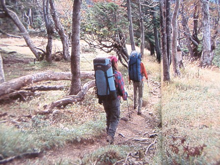 c0147398_1323783.jpg
