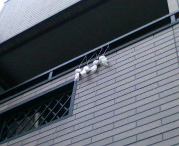 d0148202_23954100.jpg